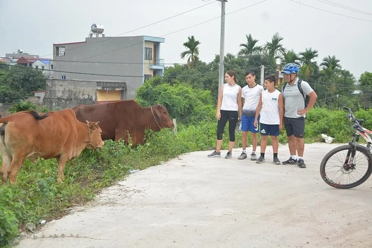 Half-Day Hanoi E-Bike Tour: Exploring Ancient Co Loa Citadel